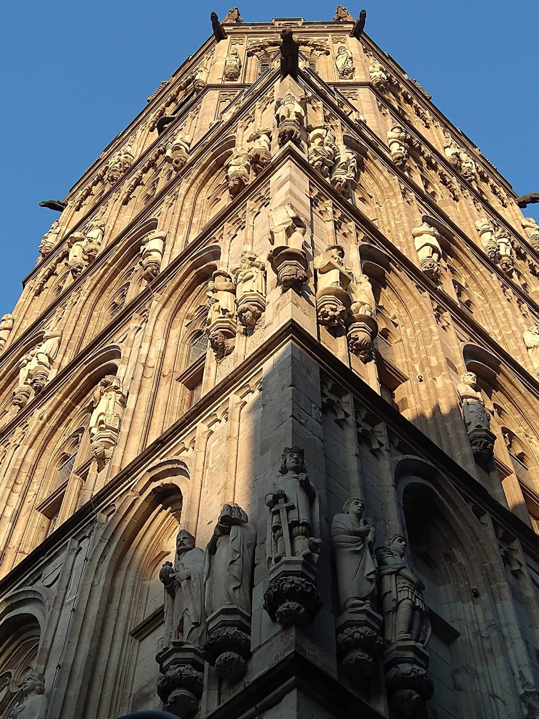 Gothic tower in golden light